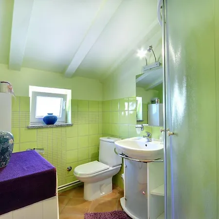 Apartment With A Swimming Pool - 22764 Medulin